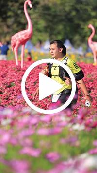 BIB:  <button type="button" onclick="openModal(27588507)" class="btn btn-primary btn-sm float-right" data-toggle="modal" data-target=".modal-high-quality">
                <i class="fa fa-download"></i> Download
                </button>